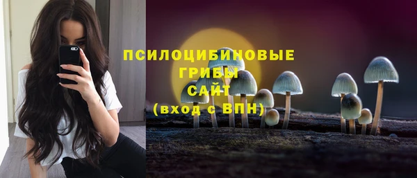 индика Белоозёрский
