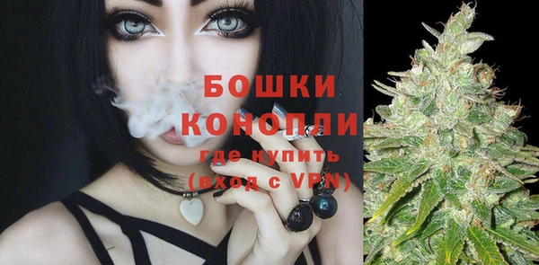 Альфа ПВП Богородицк