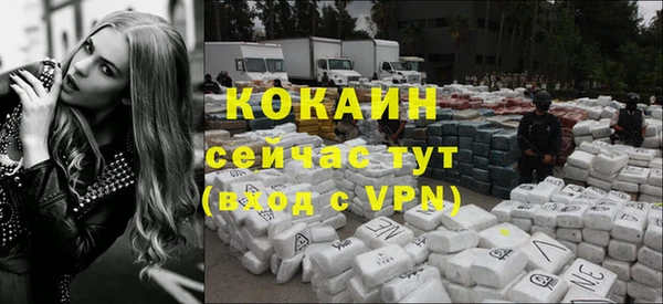 a pvp Богданович